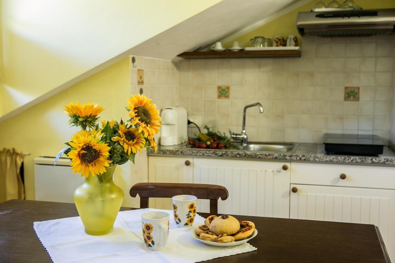 Le Raganelle Otel Oneglia Dış mekan fotoğraf