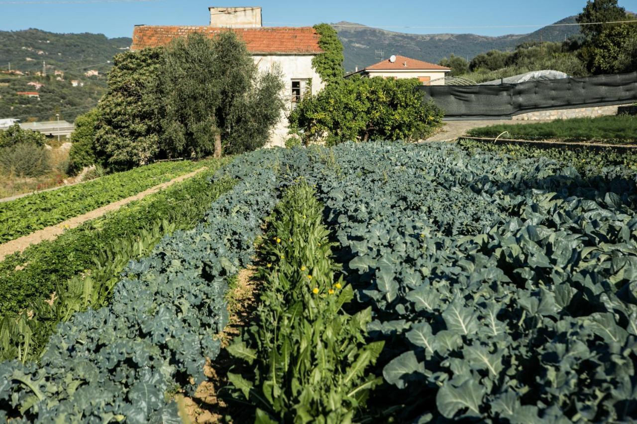 Le Raganelle Otel Oneglia Dış mekan fotoğraf